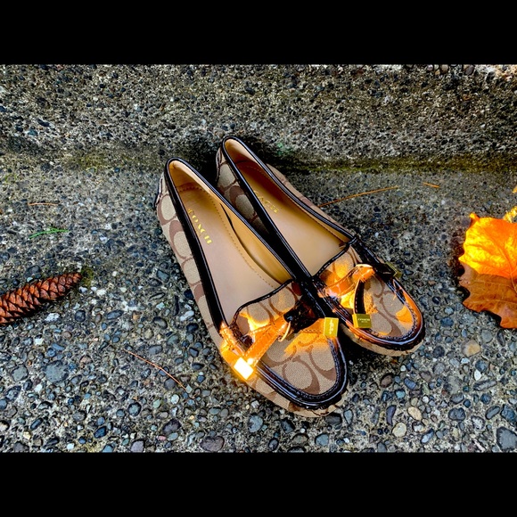 Coach Frida signature tan loafers Sz 6B NEW👞 - Picture 1 of 8